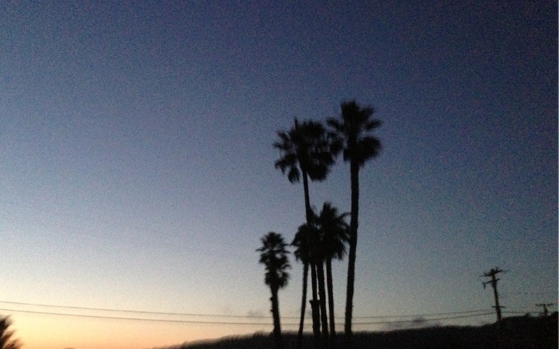 Halbinsel Palos Verdes Palmen Los Angeles